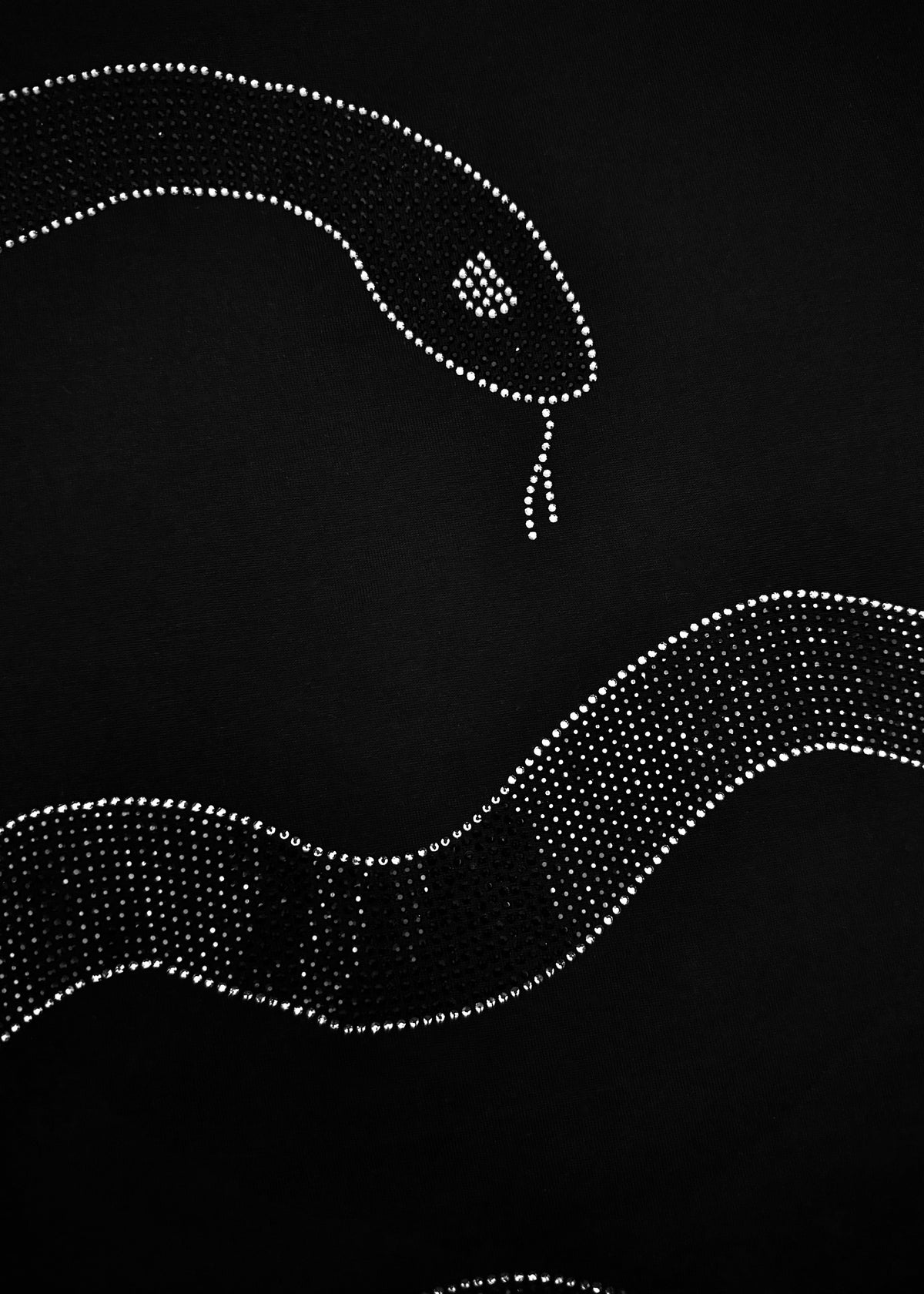 Capoz Snake T-shirt
